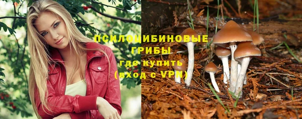 прущая мука Алексеевка