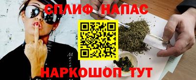 трава Гатчина