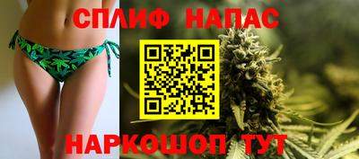 трава Гатчина