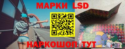 трава Гатчина
