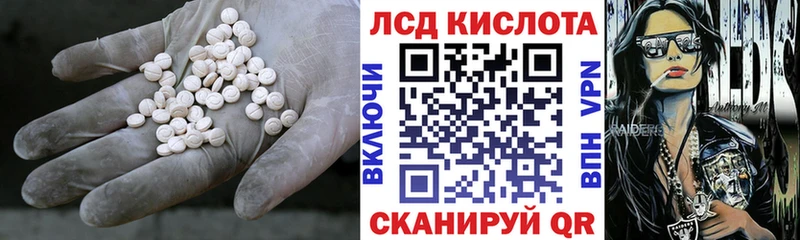 блэк спрут как войти  Заводоуковск  ЛСД экстази ecstasy 